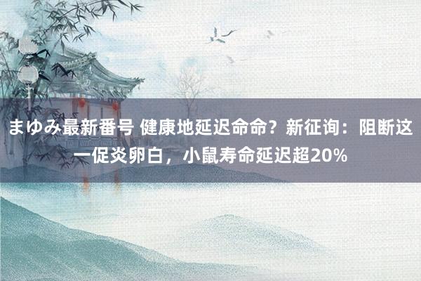 まゆみ最新番号 健康地延迟命命？新征询：阻断这一促炎卵白，小鼠寿命延迟超20%