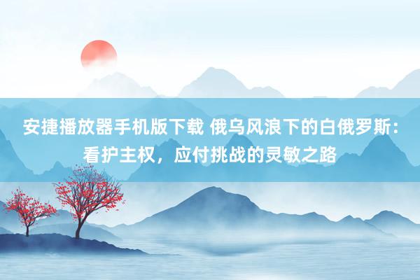 安捷播放器手机版下载 俄乌风浪下的白俄罗斯：看护主权，应付挑战的灵敏之路