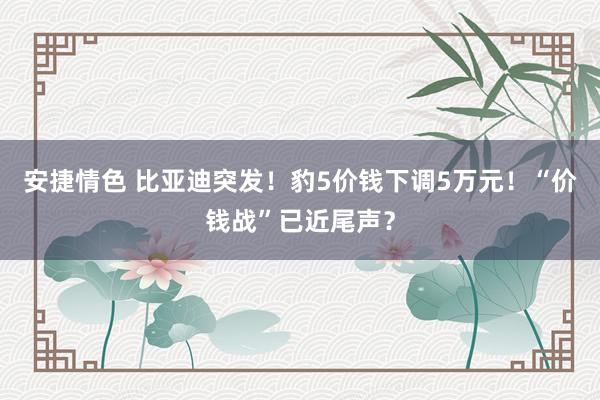 安捷情色 比亚迪突发！豹5价钱下调5万元！“价钱战”已近尾声？