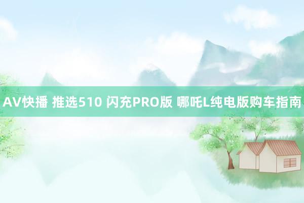 AV快播 推选510 闪充PRO版 哪吒L纯电版购车指南