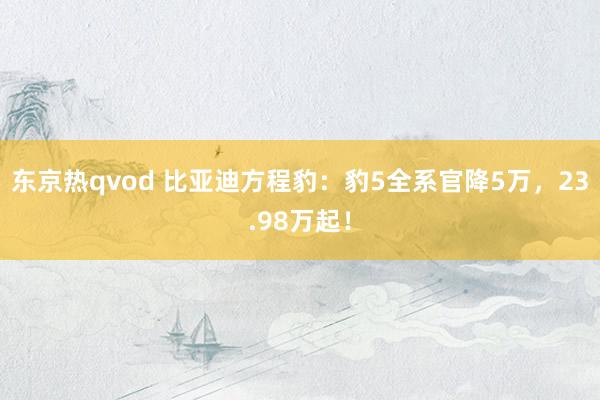 东京热qvod 比亚迪方程豹：豹5全系官降5万，23.98万起！