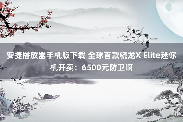 安捷播放器手机版下载 全球首款骁龙X Elite迷你机开卖：6500元防卫啊