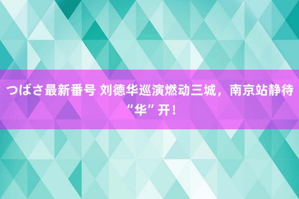 つばさ最新番号 刘德华巡演燃动三城，南京站静待“华”开！