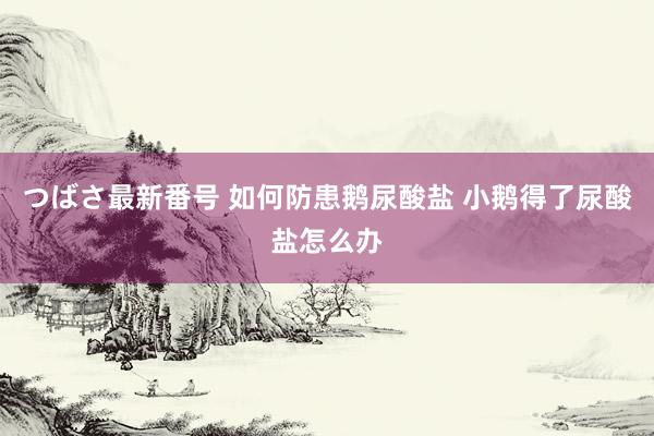 つばさ最新番号 如何防患鹅尿酸盐 小鹅得了尿酸盐怎么办