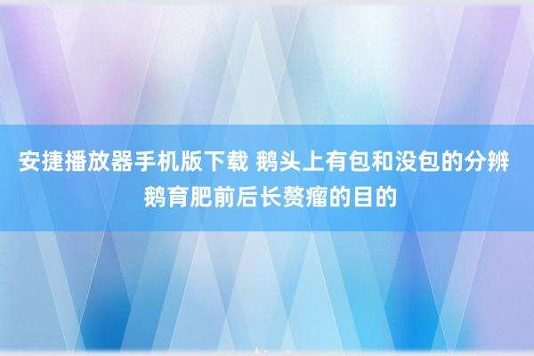 安捷播放器手机版下载 鹅头上有包和没包的分辨  鹅育肥前后长赘瘤的目的