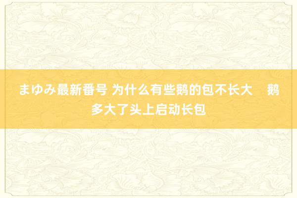 まゆみ最新番号 为什么有些鹅的包不长大    鹅多大了头上启动长包