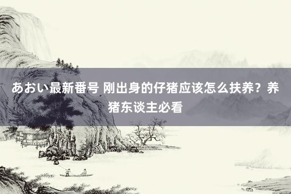 あおい最新番号 刚出身的仔猪应该怎么扶养？养猪东谈主必看