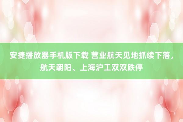 安捷播放器手机版下载 营业航天见地抓续下落，航天朝阳、上海沪工双双跌停