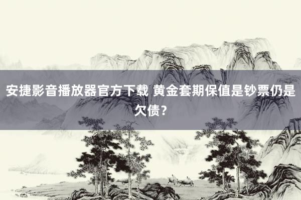 安捷影音播放器官方下载 黄金套期保值是钞票仍是欠债？