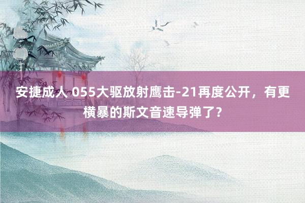 安捷成人 055大驱放射鹰击-21再度公开，有更横暴的斯文音速导弹了？