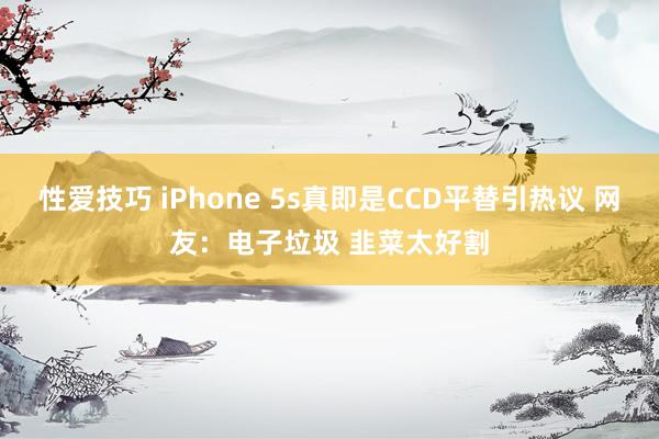 性爱技巧 iPhone 5s真即是CCD平替引热议 网友：电子垃圾 韭菜太好割