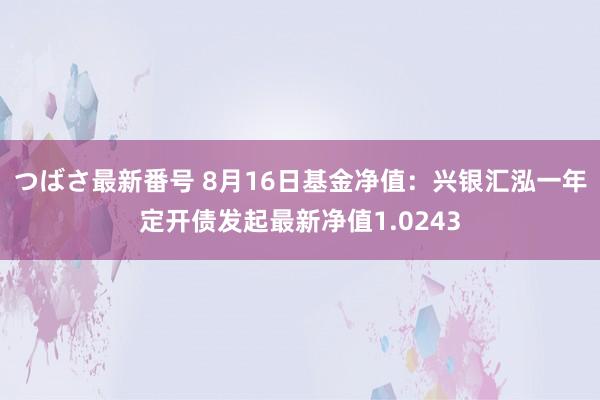 つばさ最新番号 8月16日基金净值：兴银汇泓一年定开债发起最新净值1.0243