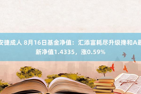 安捷成人 8月16日基金净值：汇添富耗尽升级搀和A最新净值1.4335，涨0.59%