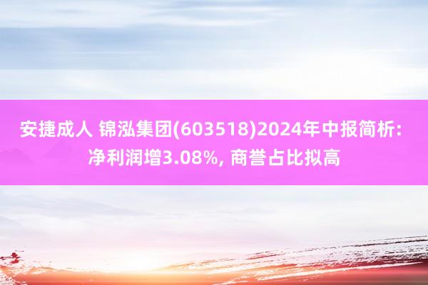 安捷成人 锦泓集团(603518)2024年中报简析: 净利润增3.08%， 商誉占比拟高