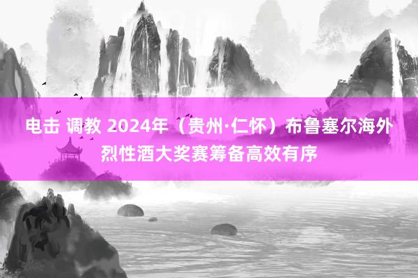 电击 调教 2024年（贵州·仁怀）布鲁塞尔海外烈性酒大奖赛筹备高效有序