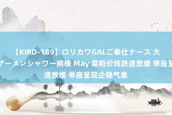 【KIRD-189】ロリカワGALご奉仕ナース 大量ぶっかけザーメンシャワー病棟 May 菜粕价钱跌速放缓 举座呈现企稳气象