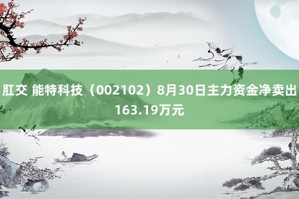 肛交 能特科技（002102）8月30日主力资金净卖出163.19万元