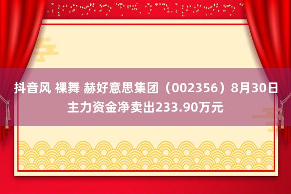 抖音风 裸舞 赫好意思集团（002356）8月30日主力资金净卖出233.90万元