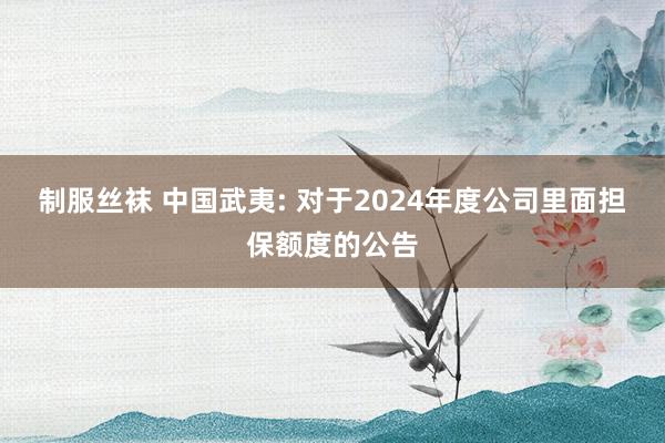 制服丝袜 中国武夷: 对于2024年度公司里面担保额度的公告