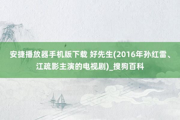 安捷播放器手机版下载 好先生(2016年孙红雷、江疏影主演的电视剧)_搜狗百科