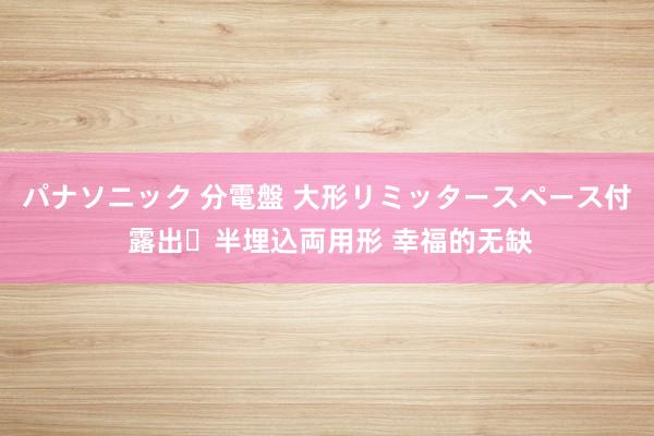 パナソニック 分電盤 大形リミッタースペース付 露出・半埋込両用形 幸福的无缺