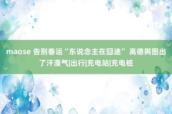 maose 告别春运“东说念主在囧途” 高德舆图出了汗漫气|出行|充电站|充电桩