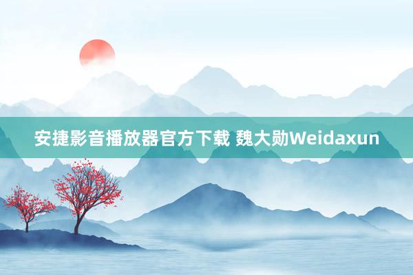 安捷影音播放器官方下载 魏大勋Weidaxun