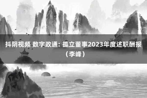 抖阴视频 数字政通: 孤立董事2023年度述职酬报（李峰）