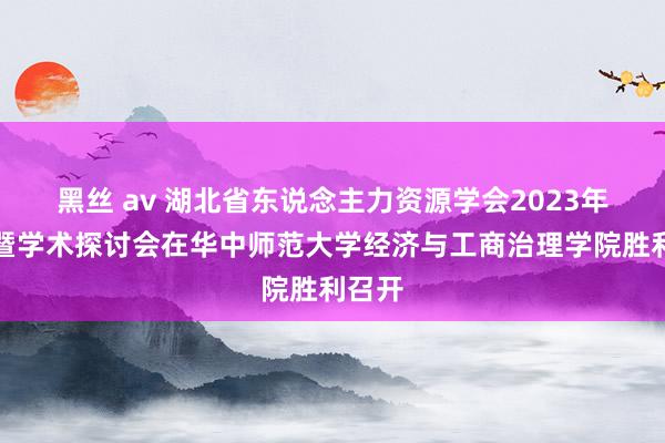 黑丝 av 湖北省东说念主力资源学会2023年年会暨学术探讨会在华中师范大学经济与工商治理学院胜利召开