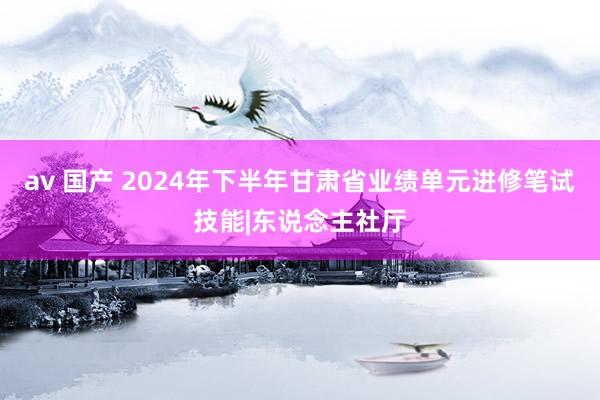 av 国产 2024年下半年甘肃省业绩单元进修笔试技能|东说念主社厅